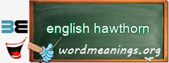 WordMeaning blackboard for english hawthorn